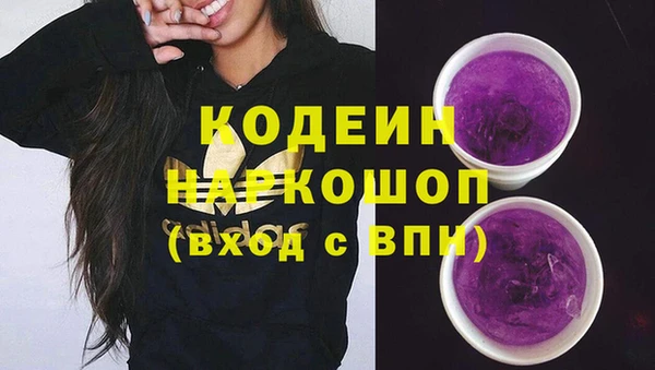 PSILOCYBIN Дрезна
