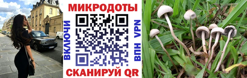 Псилоцибиновые грибы GOLDEN TEACHER  mega как зайти  Порхов  хочу наркоту 